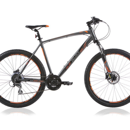 Outrage 603 H 43 cm antra oranje 24 sp