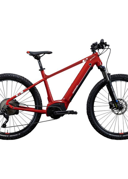 Collection image for: E-bikes