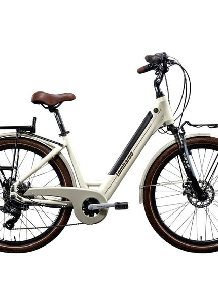 Collection image for: E-bikes achterwielmotor